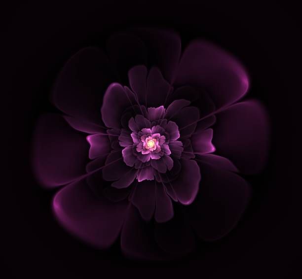 istock Beautiful abstract fractal flower 962135902