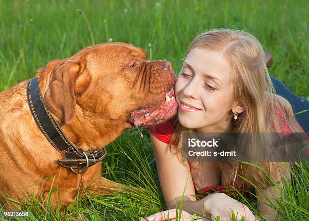 若い女の子と彼女の犬 - なめるのストックフォトや画像を多数ご用意 - なめる, ペットの飼い主, 犬