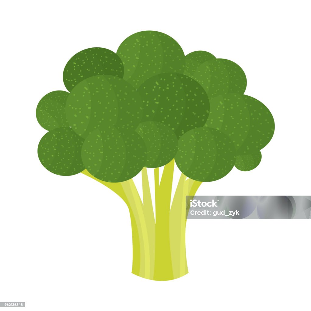 broccoli Vector  broccoli. Natural, vegan, fresh Broccoli stock vector