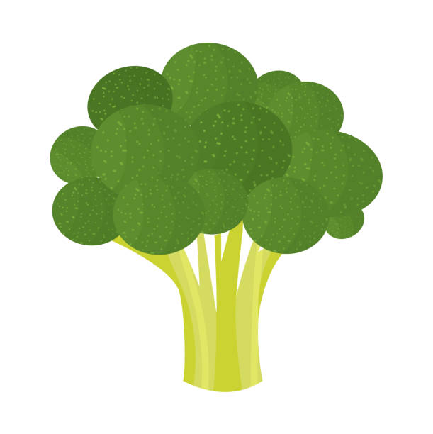7,330 Cartoon Of Broccoli Stock Photos, Pictures & Royalty-Free Images -  iStock