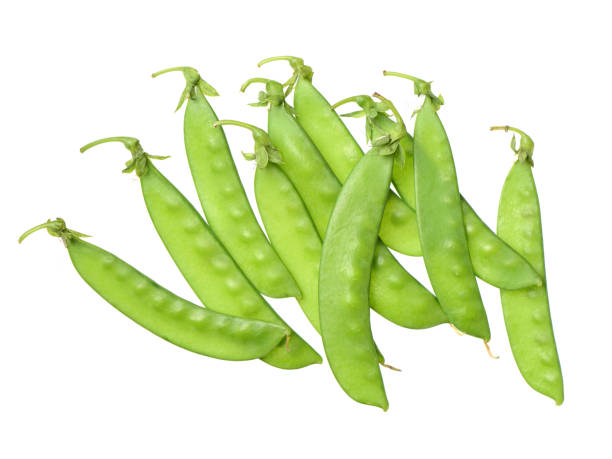 istock Green Snow Peas, Organic Vegetables Stacked Together, Isolated on White 962139924