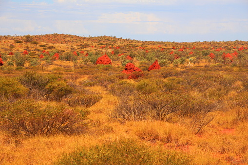 Red termite mounds in Pilbara