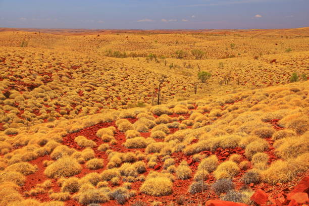 istock Pilbara in Western Australia 962144734