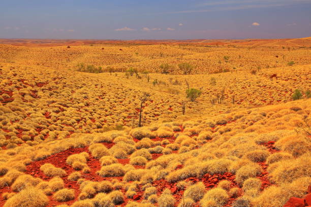 istock Pilbara in Western Australia 962145732