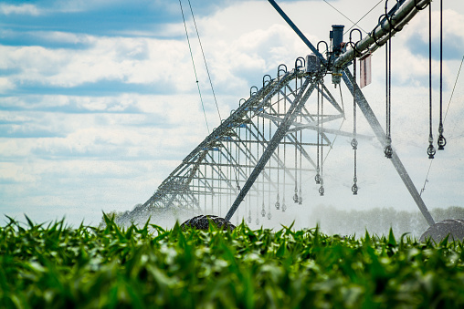 Watering system in the field. An irrigation pivot watering a field
