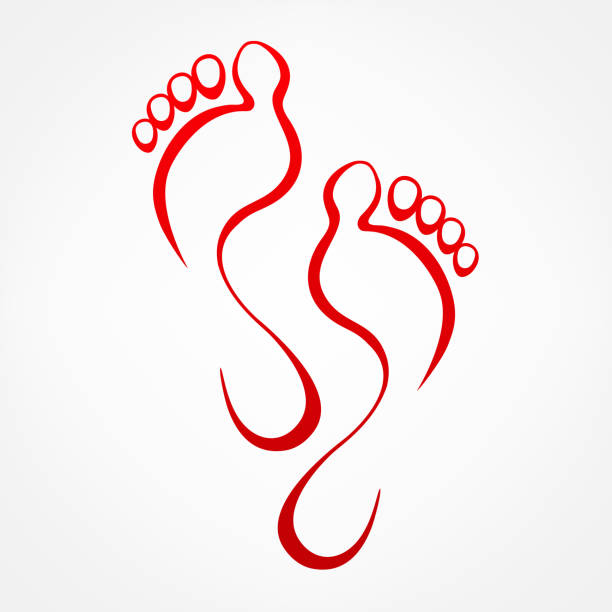 Foot Vector Stock Illustration - Download Image Now - Podiatrist, Logo,  Adult - iStock