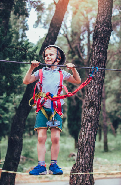 istock Happy boys playing at adventure park on sunny day. 962152870