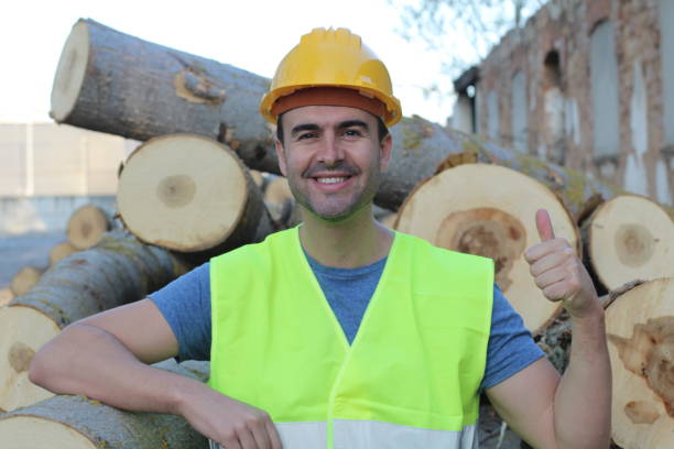 istock Male cutting trees in the forest 962157844