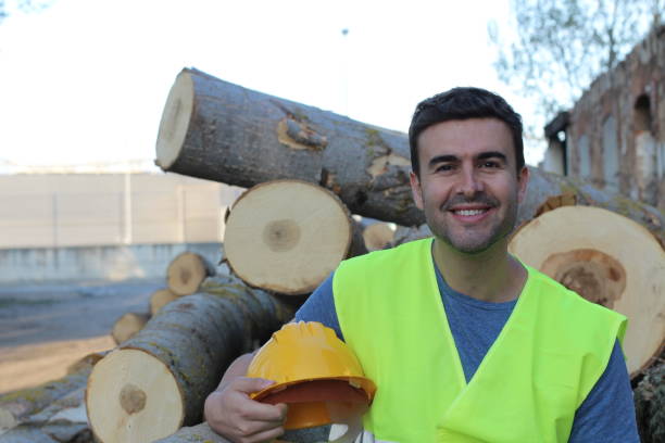 istock Proud lumberjack after cutting a bunch of trees 962157854