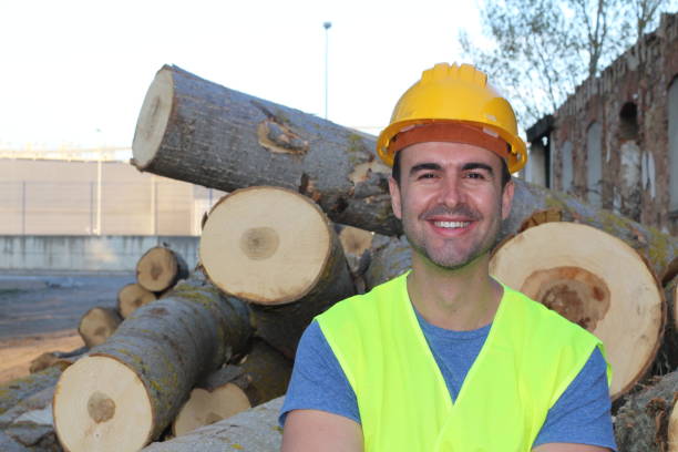 istock Man smiling after cutting abunch of trees 962157890