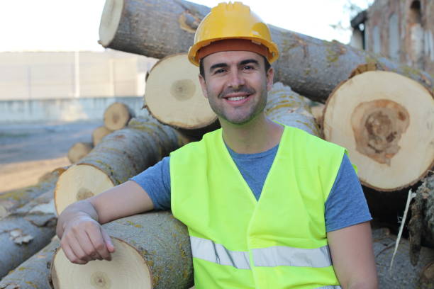 istock Man smiling after cuting lots of trees 962157908
