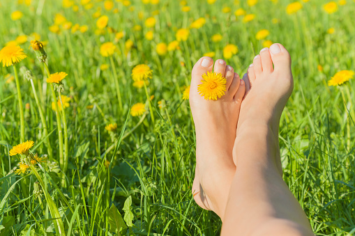 Young woman's barefoot relaxing on the green grass with yellow dandelion between toes in sunny spring day. Restful moment. Healthy lifestyle. Fresh, blooming flowers in meadow.