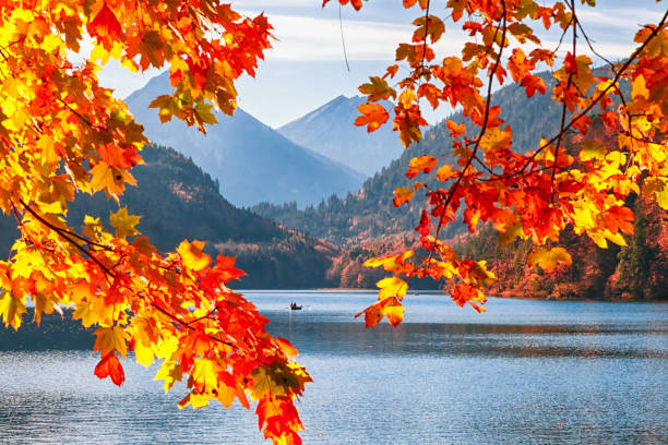 istock Autumn on lake Alpsee, Bavaria, Germany 962161534