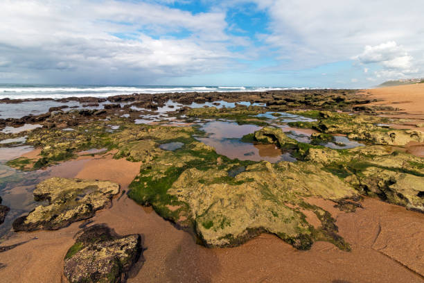 istock Rocky Beach Waves and Ocean Against Blue Cloudy Skyline 962161590
