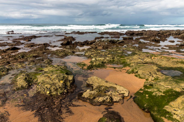 istock Rocky Beach Waves and Ocean Against Blue Cloudy Skyline 962162048