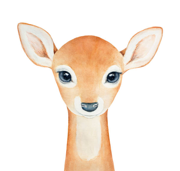 Baby Deer character portrait. Hand drawn watercolor painting on white background, isolated. Little one, looking with big eyes. Spirit animal, symbol of love, grace, peace, humility, devotion, Christmas. humility stock illustrations