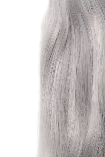 istock piece of grey hair 962172846