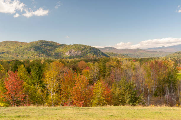 istock Field dropping off to copse of colorful trees 962172872