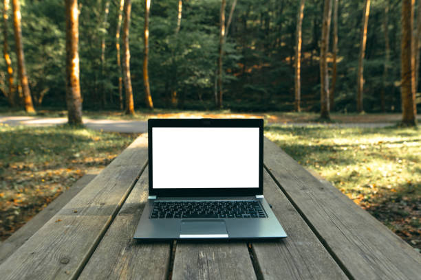 laptop nell'area della foresta con spazio di copia - green tree monitor foto e immagini stock