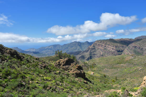 istock Grand Canaria landscape 962174788