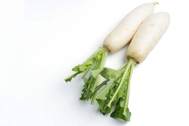 daikon radishes isolated on white background
