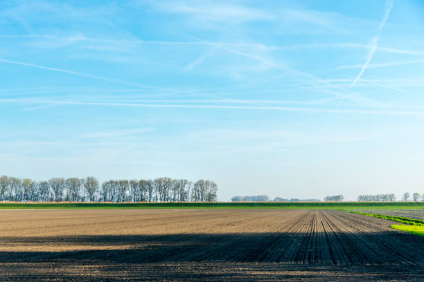 Great wide open landscape with a bare field en a line of trees on the horizon, under a blue sky background.
