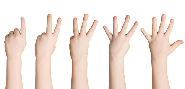 istock Set of white child hands showing figures, counting 962180380