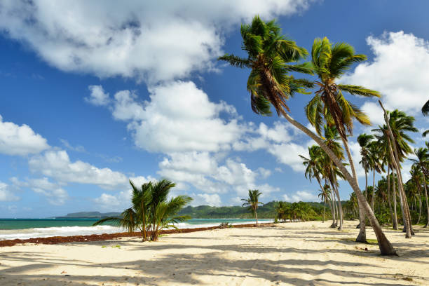istock Rincon beach Dominican Republic 962186140