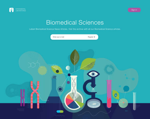 생명 과학 웹 서식 파일 - abstract dna cell multi colored stock illustrations