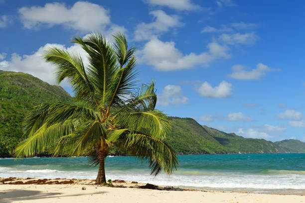 istock Rincon beach Dominican Republic 962187662