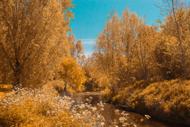Tolka Valley Park in Dublin, Ireland