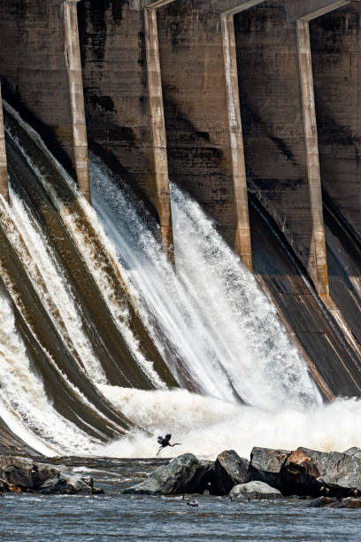 Roodeplaat dam is a well-known destination for bird watching, game viewing and a range of water sports including freshwater angling, located about 22km north-east of Pretoria.