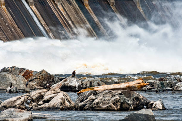 water dam at the Blyde River Canyon, Mpumalanga - South Africa