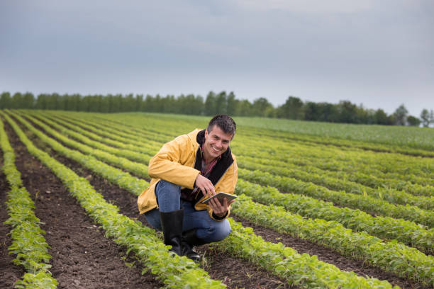 istock Farmer with tablet in soybean field 962191282