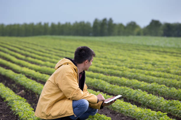 istock Farmer with tablet in soybean field 962191528
