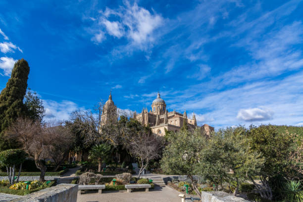 View of the tower and the dome of the cathedral of Salamanca from the Huerto de Calixto y Melibea