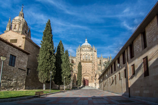 istock Cathedral of Salamanca 962193988