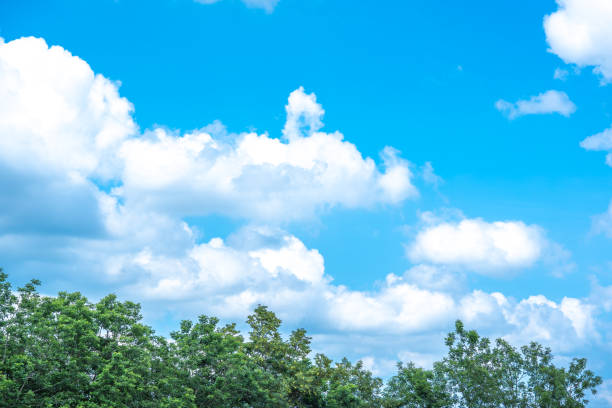 istock Sky blue and cloud on summer in daytime is beauty 962194930