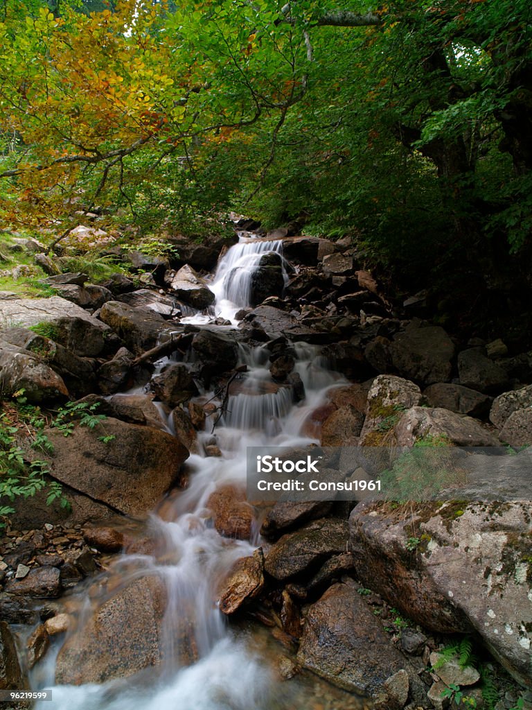 Hermosa cascada - Foto de stock de Agua libre de derechos