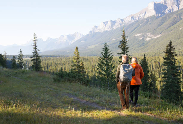 istock Hiking couple follow trail through mountain meadow 962199382