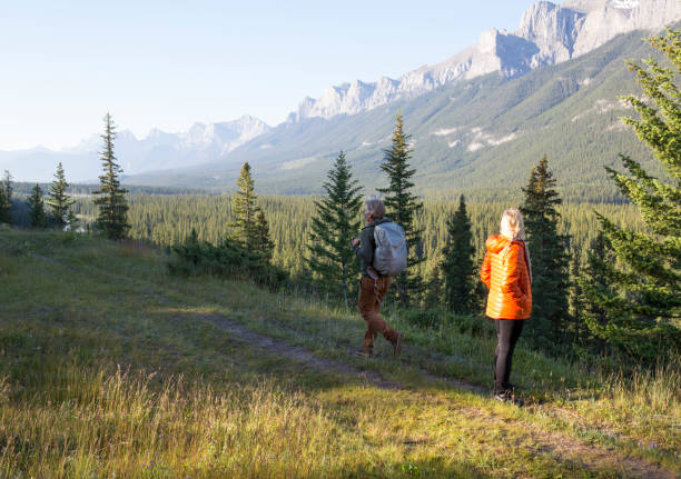 istock Hiking couple follow trail through mountain meadow 962199938