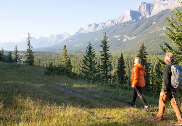 istock Hiking couple follow trail through mountain meadow 962201244