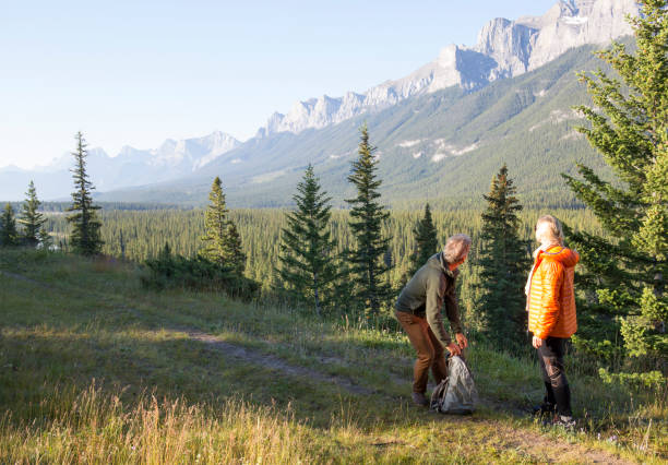 istock Hiking couple follow trail through mountain meadow 962201490