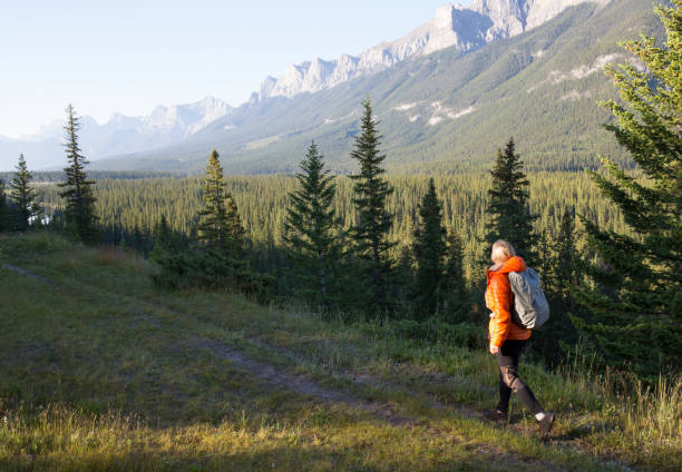 istock Female hiker follows pathway on mountain ridge crest 962202358