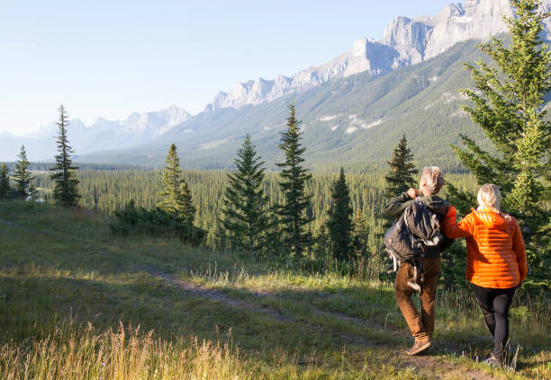 istock Hiking couple follow trail through mountain meadow 962202480