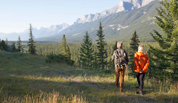istock Hiking couple follow trail through mountain meadow 962202502