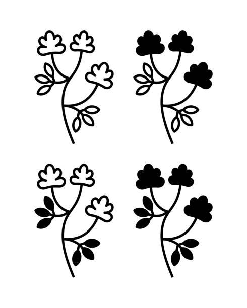 illustrazioni stock, clip art, cartoni animati e icone di tendenza di illustrazione vettoriale della pianta di erba medica con fiori - alfalfa