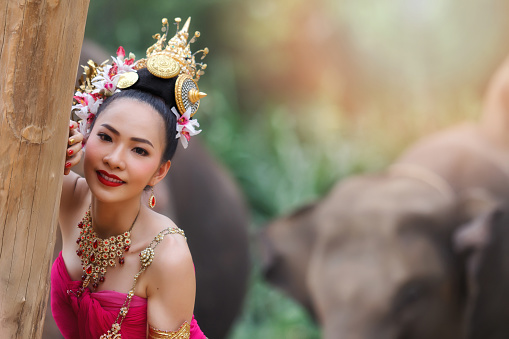 Pretty thai girls in traditional thai costumes touch a tree with elephants background