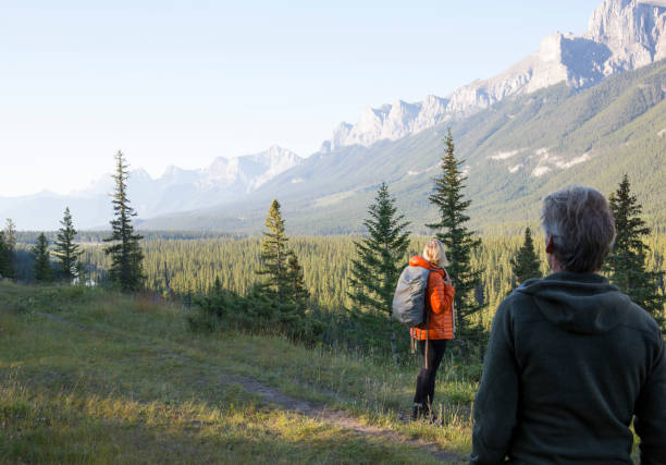istock Hiking couple follow trail through mountain meadow 962209618