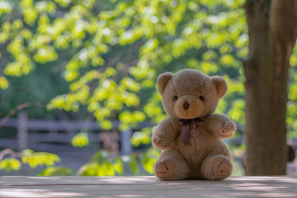 istock Teddy Bear sitting on wood, background bokeh 962209850